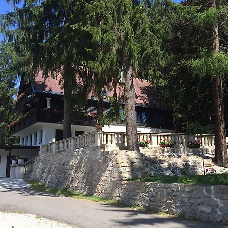 Hunting Lodge Vitkov Sokolov Extérieur photo