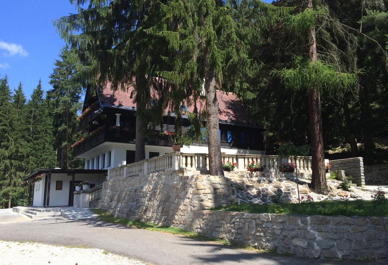 Hunting Lodge Vitkov Sokolov Extérieur photo